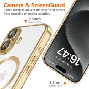 coque iphone 16 tech protect or