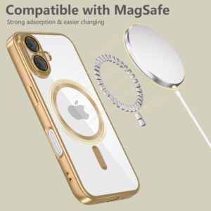 coque iphone 16 tech protect or