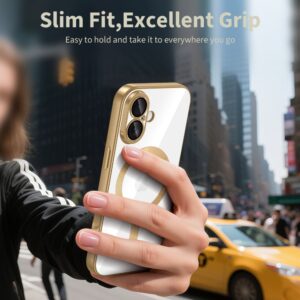 coque iphone 17 tech protect magflex shiny