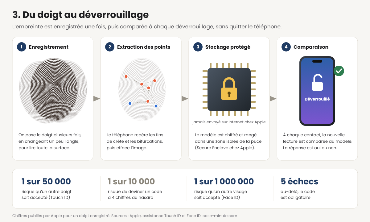 Les quatre étapes de la reconnaissance d'empreinte : enregistrement, extraction des points, stockage chiffré dans une puce isolée, comparaison et déverrouillage, avec les chiffres de sécurité publiés par Apple